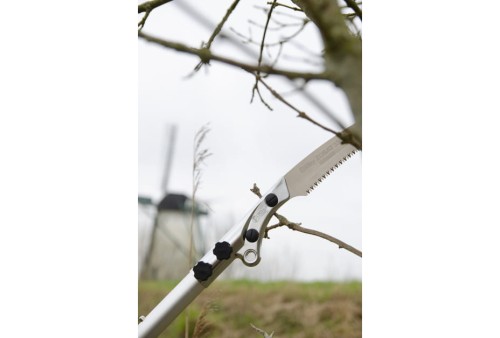 ksi327215_Zubat 3900.jpg