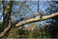 ksi757027_yoki-270_atmospheric_2.jpg