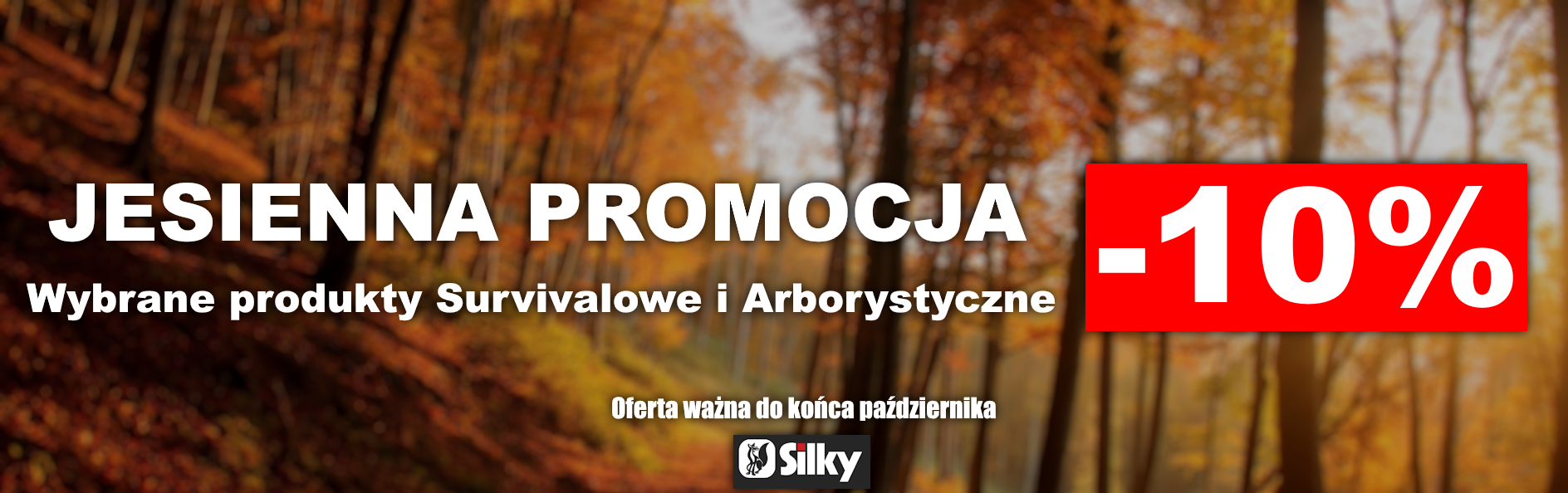 Jesienna promocja